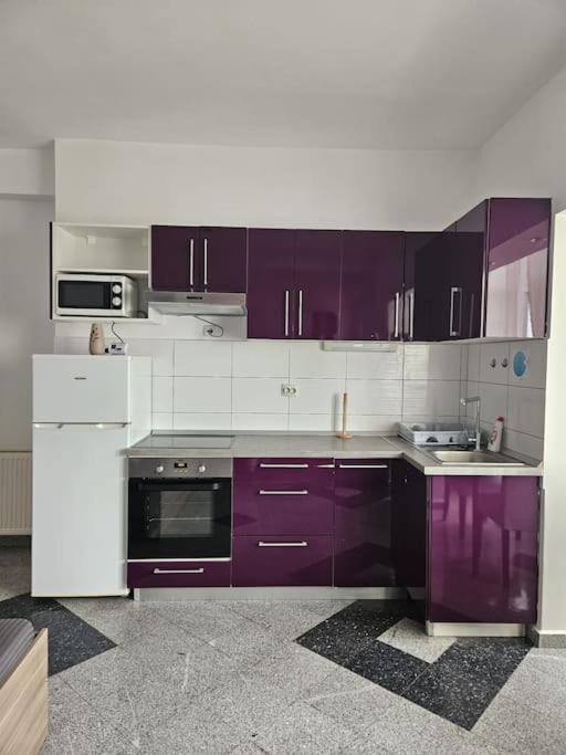 Nice Studio In The Heart Of City Bukareszt Zewnętrze zdjęcie
